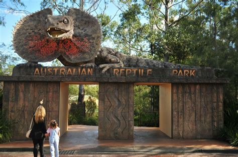 Australian Reptile Park | NSW Holidays & Accommodation, Things to Do ...