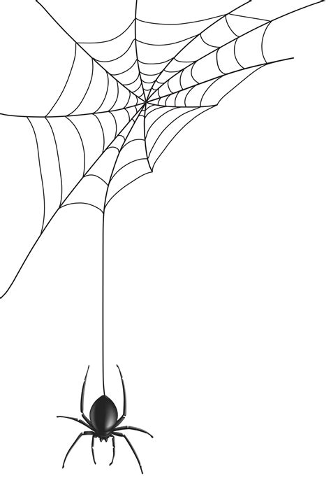 Spider Web PNG Clip Art Image | Gallery Yopriceville - High-Quality ...