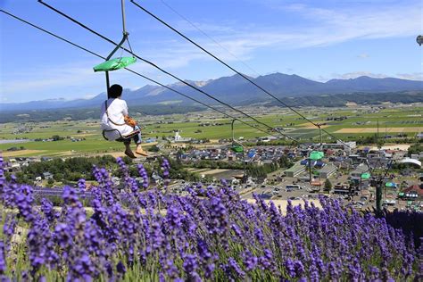 Lavender Season in Hokkaido 2021 | Visit Furano | Kyuhoshi