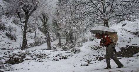 Kashmir: Gulmarg, Pahalgam, receive fresh snow | The Kashmir Press