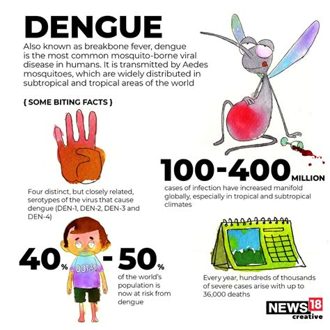 In Pics | Dengue Signs, Symptoms & How You Can Prevent Yourself from Deadliest Disease