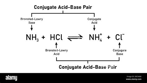 bronsted-lowry acid-base reaction theory. Scientific vector ...