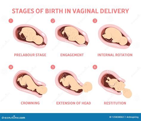 Baby Birth Stock Illustrations – 40,632 Baby Birth Stock Illustrations, Vectors & Clipart ...