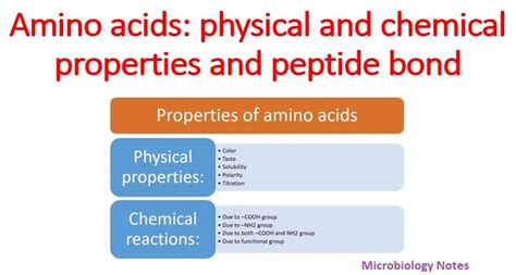 Amino acids: physical, chemical properties and peptide bond