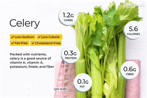 Celery Nutrition Facts and Health Benefits