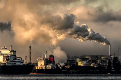 Thermal Pollution Explained: Causes, Impact & Solutions | Perch Energy