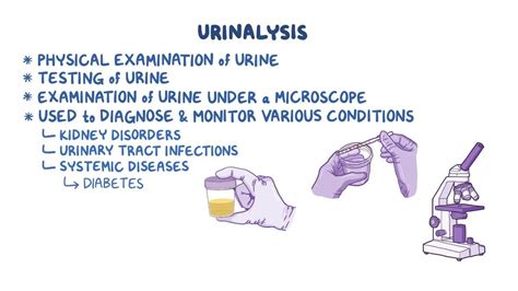 Urine Cytology: What Is It, Purpose, Procedure Results, 47% OFF