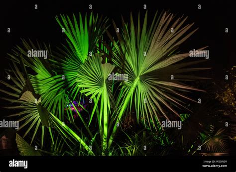 Al Noor Island, Sharjah at night Stock Photo - Alamy