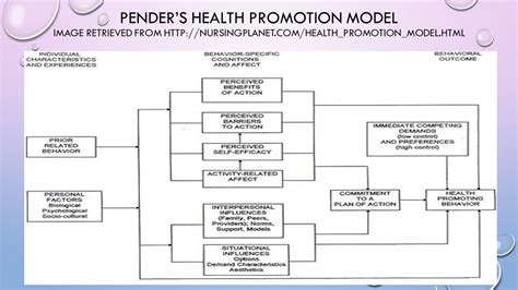 Nola J Pender Health Promotion Model Ppt - Seputar Model