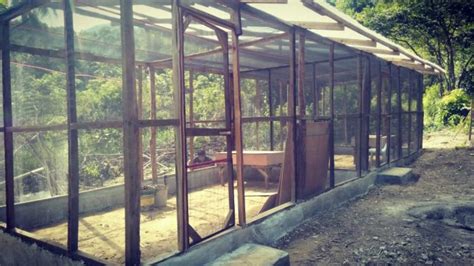 New BSF insectarium completed at Kalawili - Kalawili Permaculture Palawan