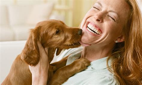 Pet Daycare - Downtown Dog Resort and Spa | Groupon