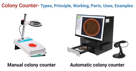 Colony Counter- Types, Principle, Parts, Uses, Examples