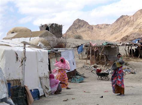 The New Humanitarian | Hard life for Somali refugees in Ali Addeh camp