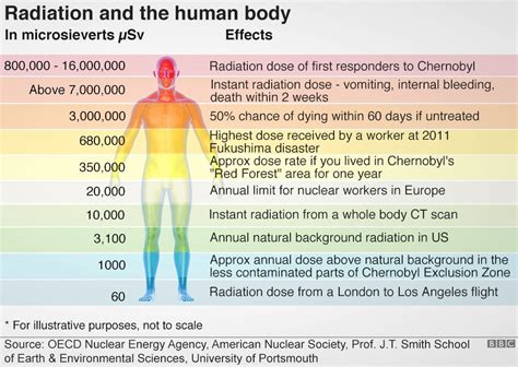 Savant Super Sciences: De quoi avait l'air le désastre à Tchernobyl? Et ...