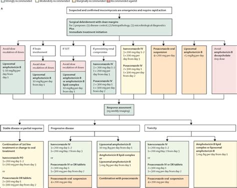 Global guideline for the diagnosis and management of mucormycosis: an ...