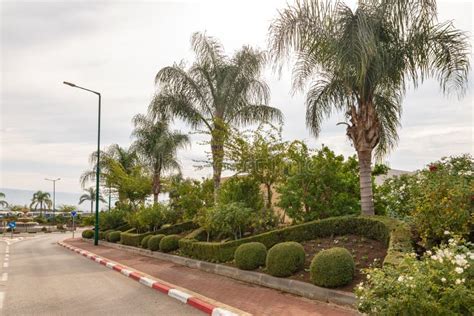 Decoratively Decorated Roadside at the Entrance To the Ghajar Alawite Arab Village, Located on ...