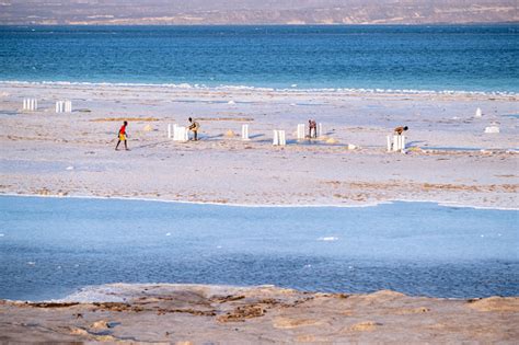 Traditional Harvest Of The Salt In Lake Assal Stock Photo - Download Image Now - Adventure, Afar ...