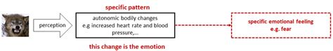 The Principle of the James-Lange-Theory | Download Scientific Diagram