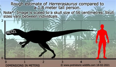 Top Ten Predatory Dinosaurs