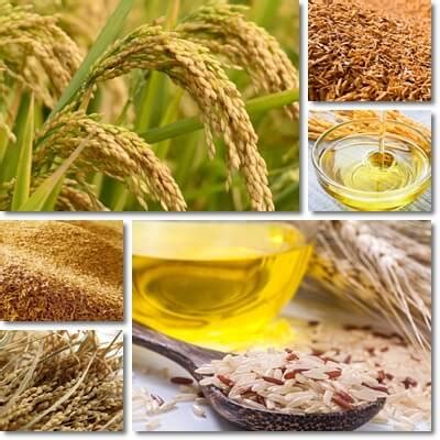 Properties and Benefits of Rice Bran Oil - NatureWord