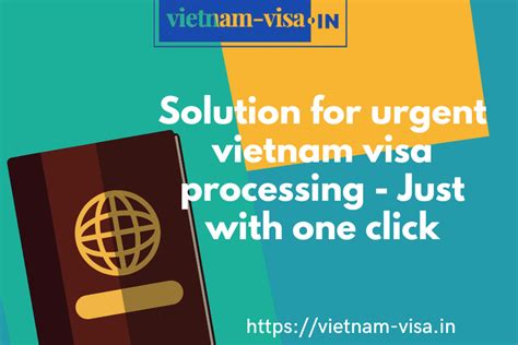 Vietnam Visa Photo Size: Requirements and Guidelines for Indians - vietnam-visa.in