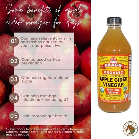 Apple Cider Vinegar Benefits For Dogs - Spring Grove, Illinois