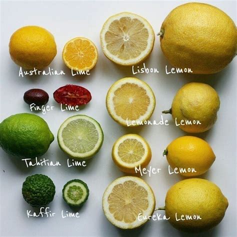 francisco futi on Instagram: “These are the varieties of Lemons and ...