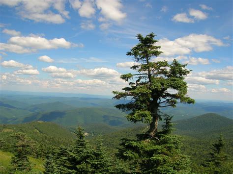 Our Killington Area Guide | Things to Do in Killington VT