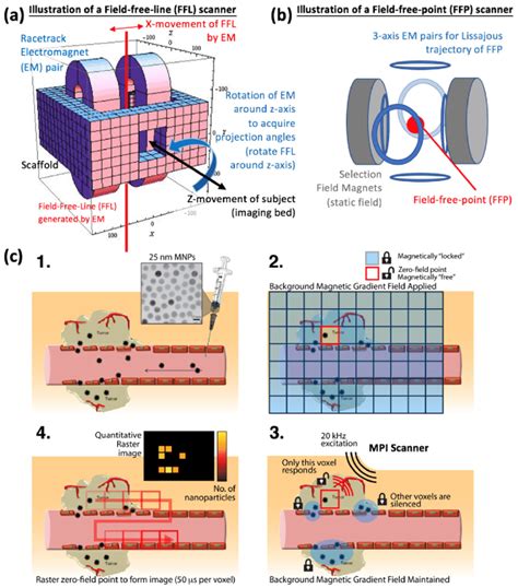 Physical mechanisms underlying how Magnetic Particle Imaging (MPI)... | Download Scientific Diagram