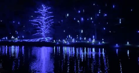 Longwood Gardens has best botanical garden holiday lights, according to USA Today poll | PhillyVoice