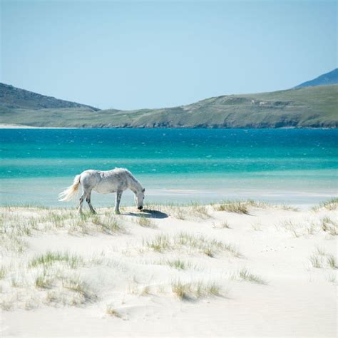 Luskentyre Beach, Isle of Harris. #isleofharris #outerhebrides # ...