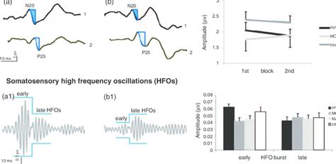 The upper part of the figure represents somatosensory evoked potentials... | Download Scientific ...