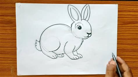 rabbit drawing using pencil step by step // how to draw a rabbit easy drawing - YouTube