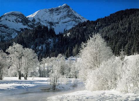 Snowy Mountains, Trees, Cold, Mountain, White, Snow, Winter, HD ...