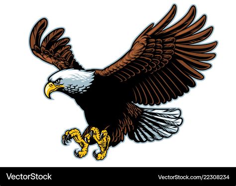 Flying bald eagle in detailed style Royalty Free Vector