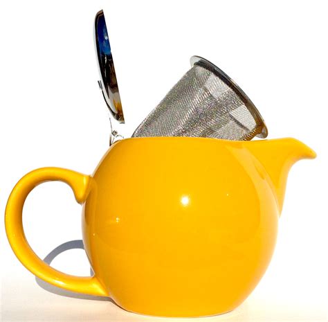 2 cup Ceramic teapot with strainer – Colorado Holistic Tea