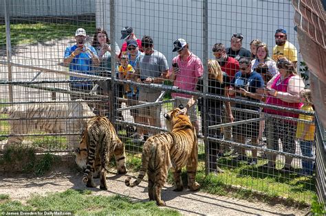 Hundreds visit Joe Exotic zoo as it reopens after Netflix fame | Daily ...