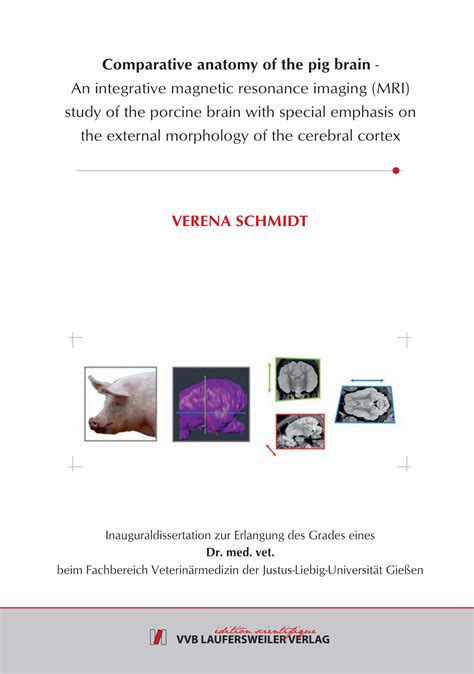 Comparative Anatomy of the Pig Brain - DocsLib