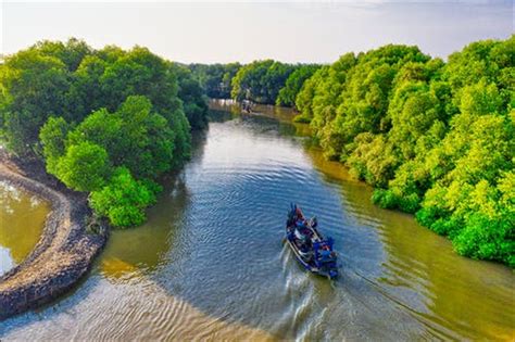 4 Cara Hutan Bakau Menjaga Keseimbangan Alam | kumparan.com