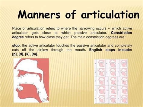 English manner articulation