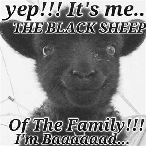 Black sheep quotes