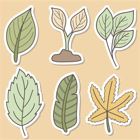 Premium Vector | Green leaves stickers set illustration