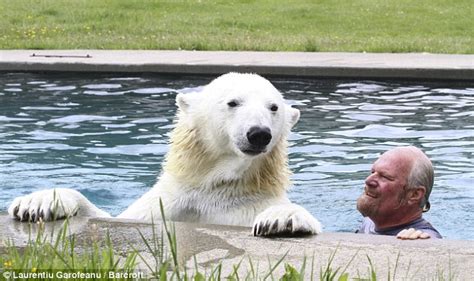 Pet Polar Bear