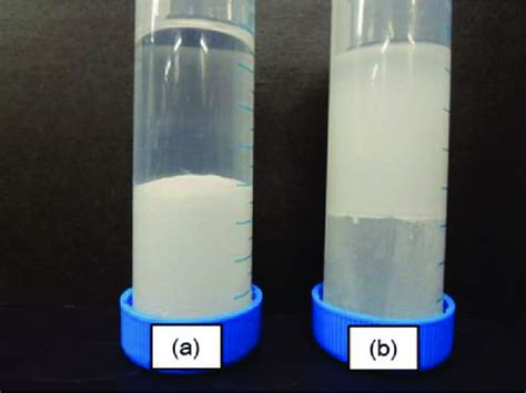 Photographs of solutions having two phases after the addition of ZnO ...