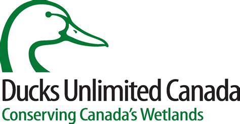 Ducks Unlimited Canada Logo Vector - (.Ai .PNG .SVG .EPS Free Download)