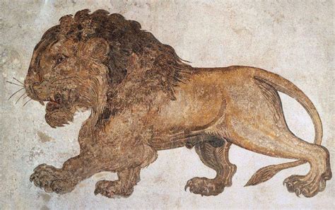 A huge roman mosaic depicting a lion found in Salakta, Tunisia. 3rd century AD, now on display ...