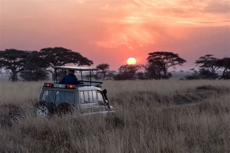 Our Complete Guide To Planning A Safari In Sri Lanka In 2023!