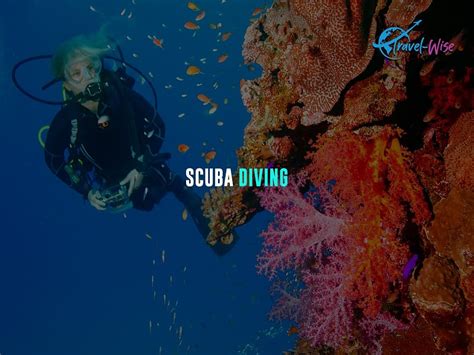 Snorkeling vs Scuba vs Snuba Diving: Difference | Travel-Wise