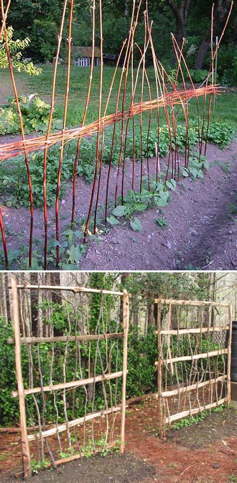 19 Successful Ways to Building DIY Trellis for Veggies and Fruits ...