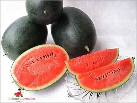 Unbelievable Secrets Revealed - The Incredible Power of Densuke Watermelon Seeds! - [Updated ...